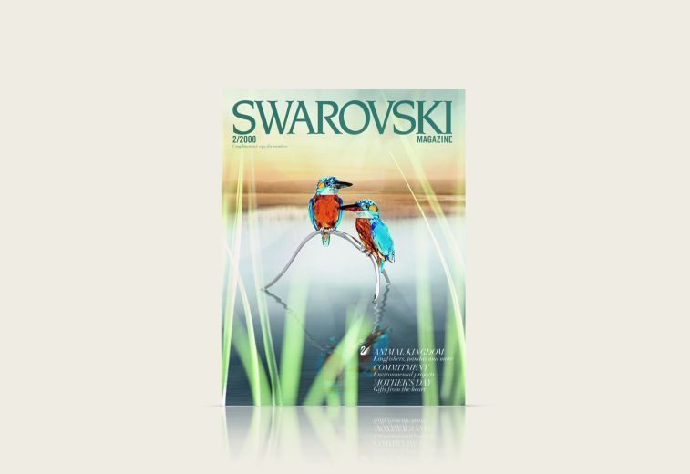 Portfolio Image