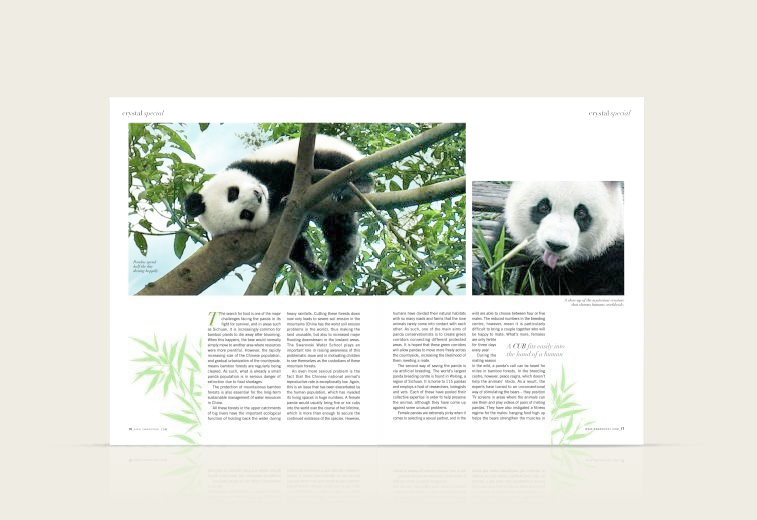 Portfolio Image