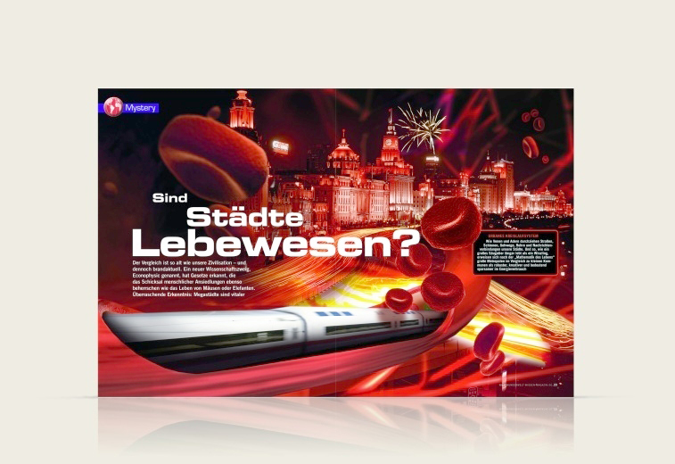 Portfolio Image