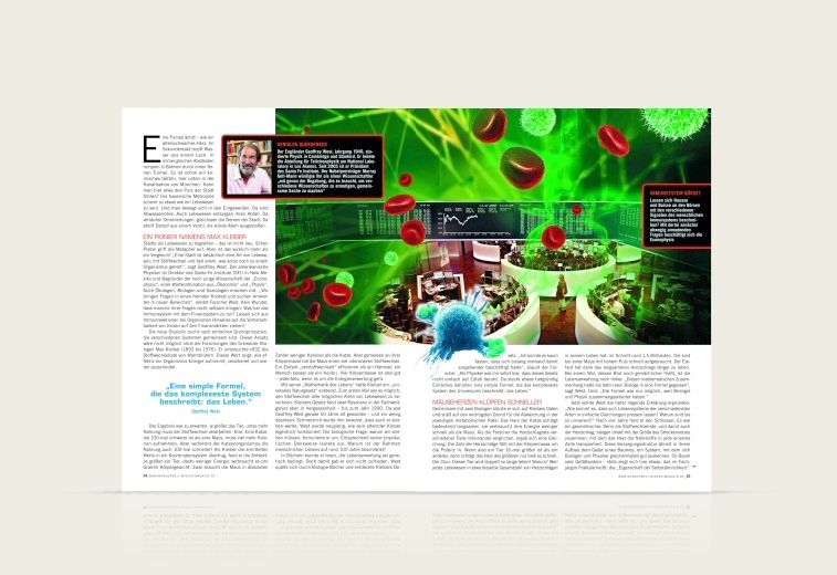 Portfolio Image