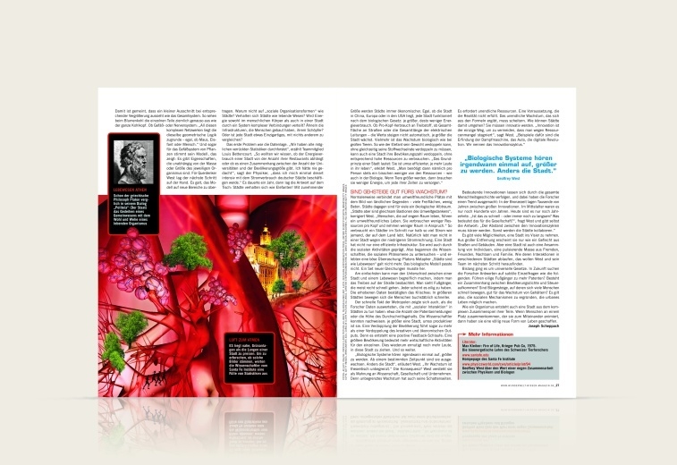Portfolio Image